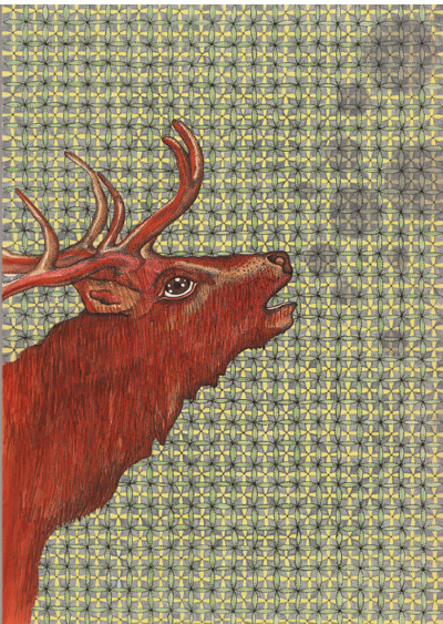 Hirsch